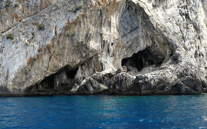 CALABRIA VERACE